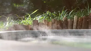 厦门桑拿按摩的文化历史及其深层文化意义 缩略图