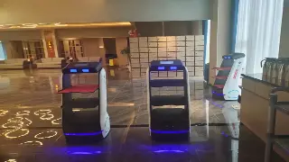 厦门按摩背后的文化密码：不止是放松，更是鹭岛生活哲学的体现