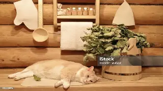 厦门解锁身体密码：告别僵硬，从指尖的温柔力量开始