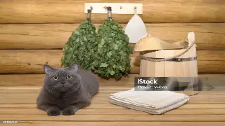 厦门按摩：穿越古今，触碰肌理里的文化脉络