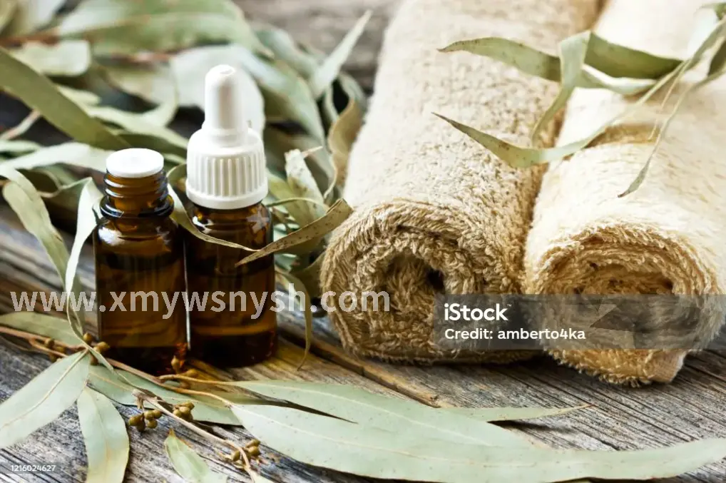 湿蒸房内的温暖蒸汽