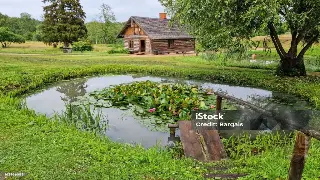 厦门桑拿初体验：解锁身体与心灵的深度放松密码！