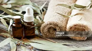 告别湿冷，解锁厦门冬日里的温暖“蒸”体验！