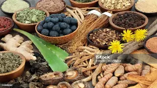 厦门桑拿新体验：不止汗蒸，更能焕活身心的能量场！